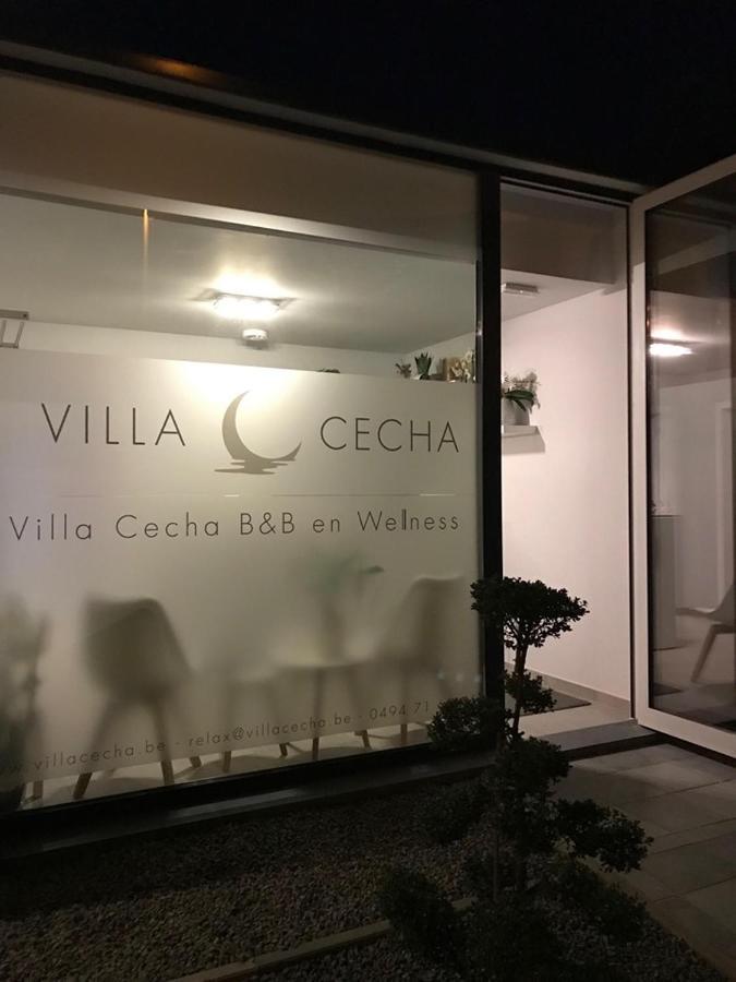 Villa Cecha B&B &Wellness Ostende Exteriér fotografie